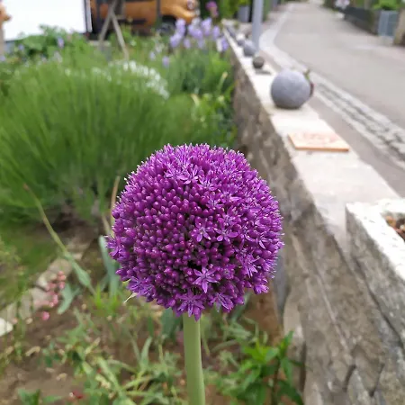 Kleine Auszeit Διαμέρισμα Beimerstetten