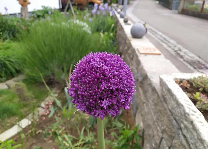 Kleine Auszeit דירה Beimerstetten